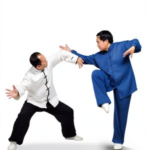 YMAA Tai Chi Book English Edition Enhanced Typesetting-0