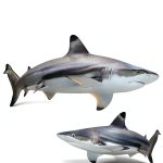 Children's Fish Book Amazon Kindle Edition-0
