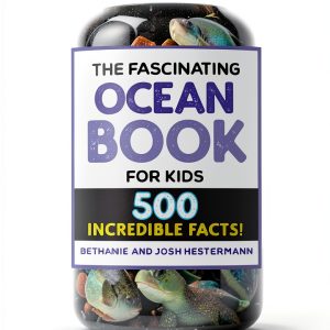 Fascinating Facts Marine Life Book Callisto Kids-0