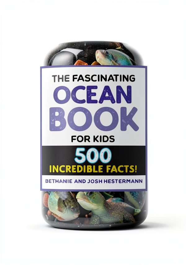 Fascinating Facts Marine Life Book Callisto Kids-0